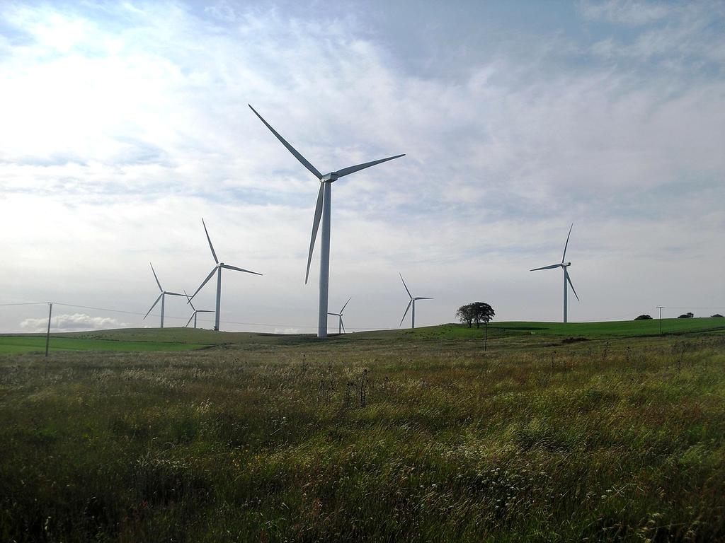 Aerial view of a wind farm