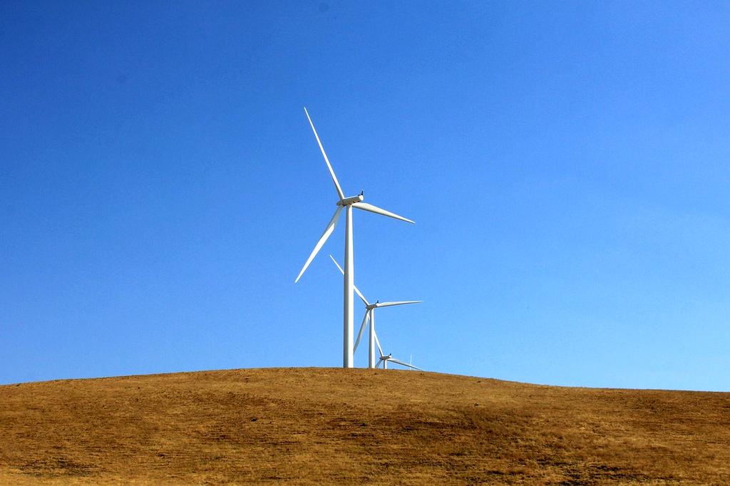 Wind turbines operating in a green field