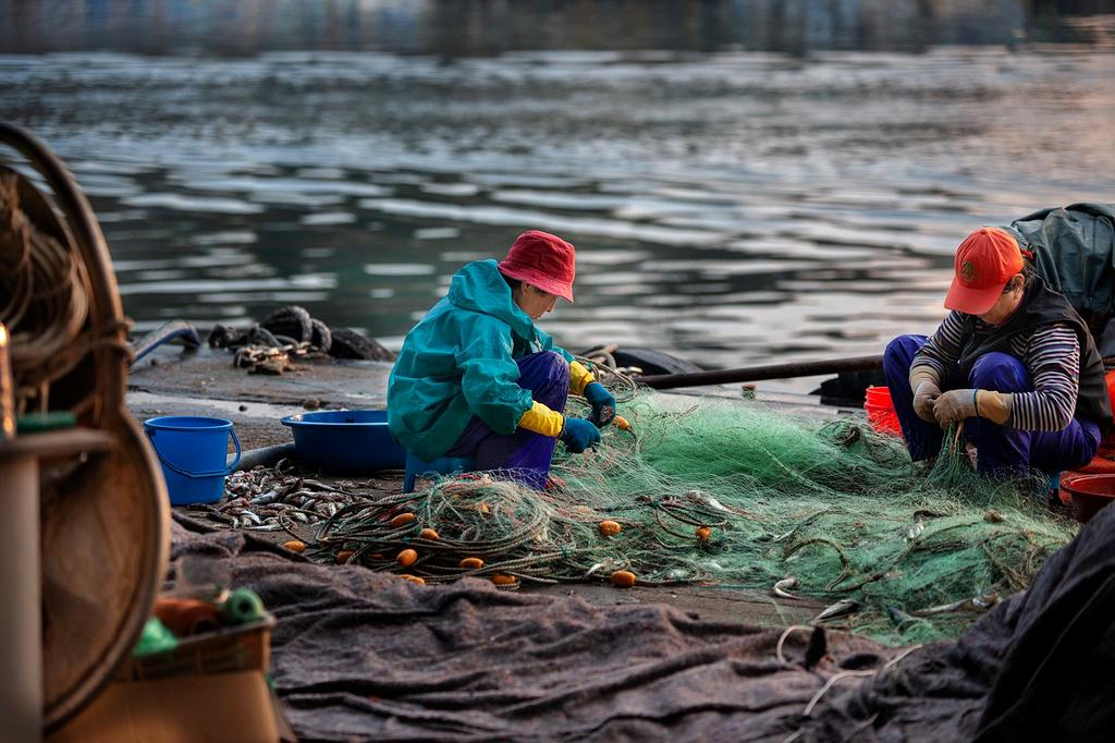 Sara Chen, Community Liaison