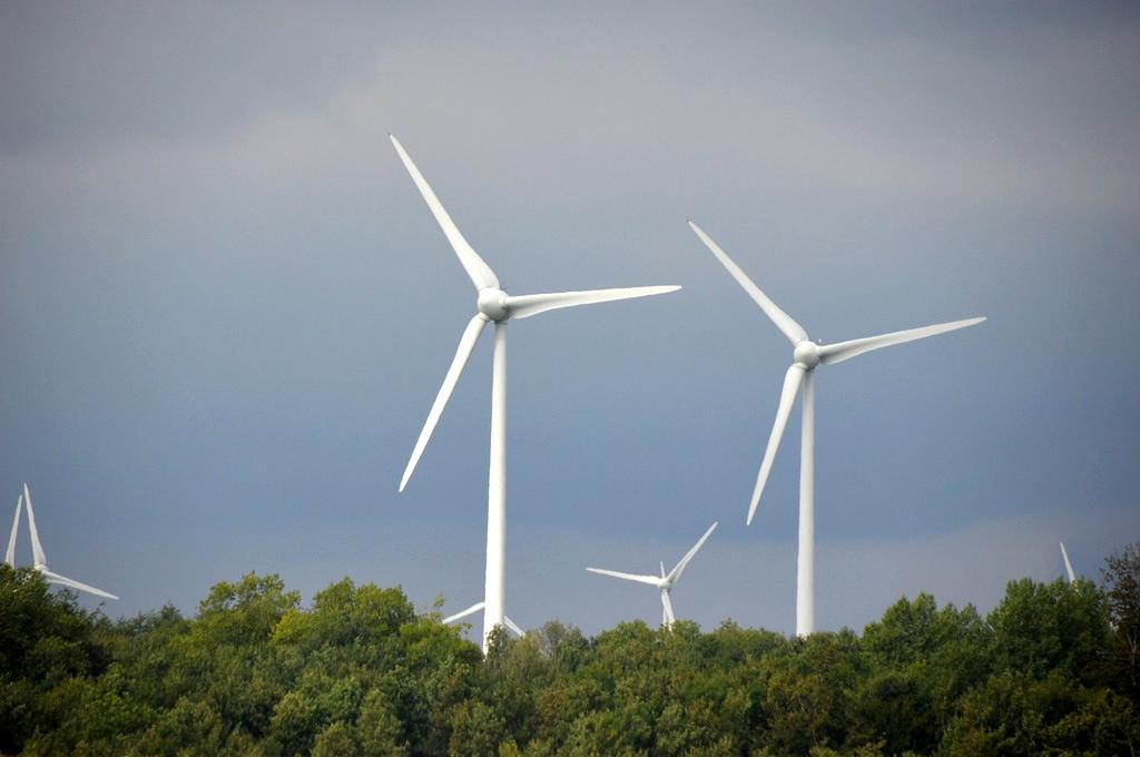 BRANDNAME team collaborating on wind energy project